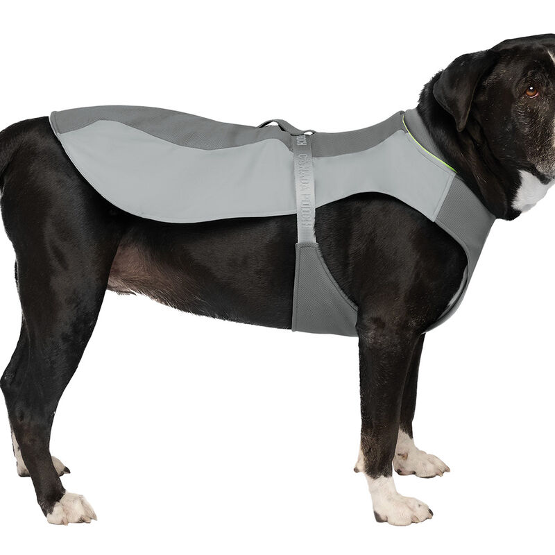 Canada Pooch, Max Chill Cooling Vest Grey image number null